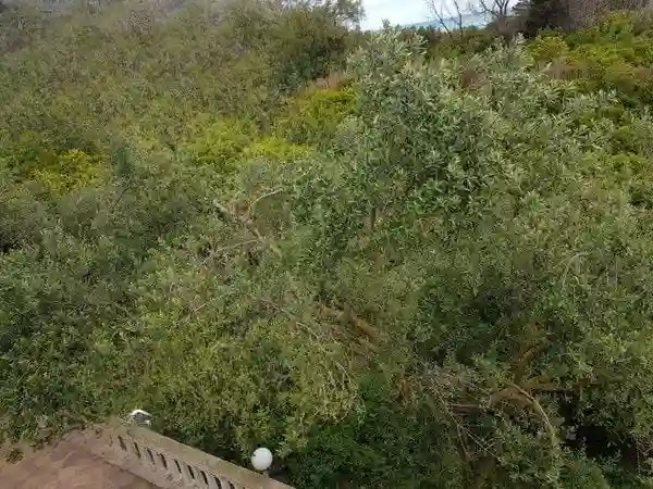 Maison de Campagne 5000 m² ras Jebel - Vue 4