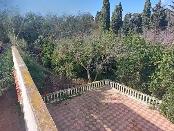 Maison de Campagne 5000 m² ras Jebel - Vue 7