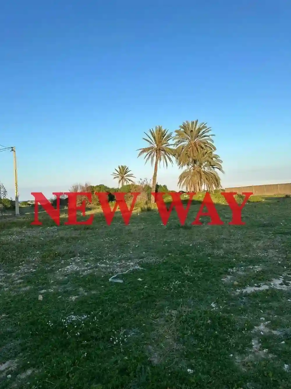 Terrain à Sidi Abdelhamid Prés de la Mer - Vue 1