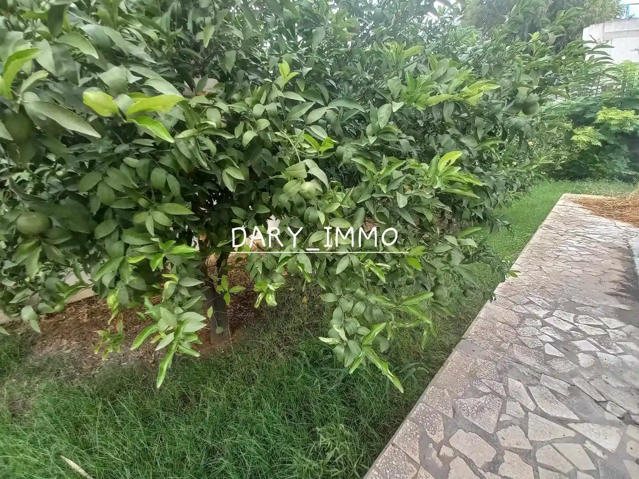 Villa 2s7 à el Manar 3 à El Manar 2 - Vue 1