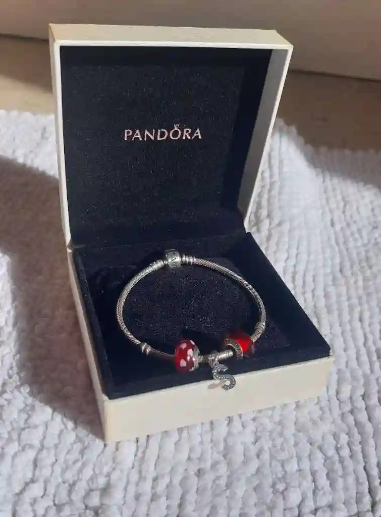 Bracelet Pandora Italy en Argent Massif et Acier Inoxidable - Vue 3