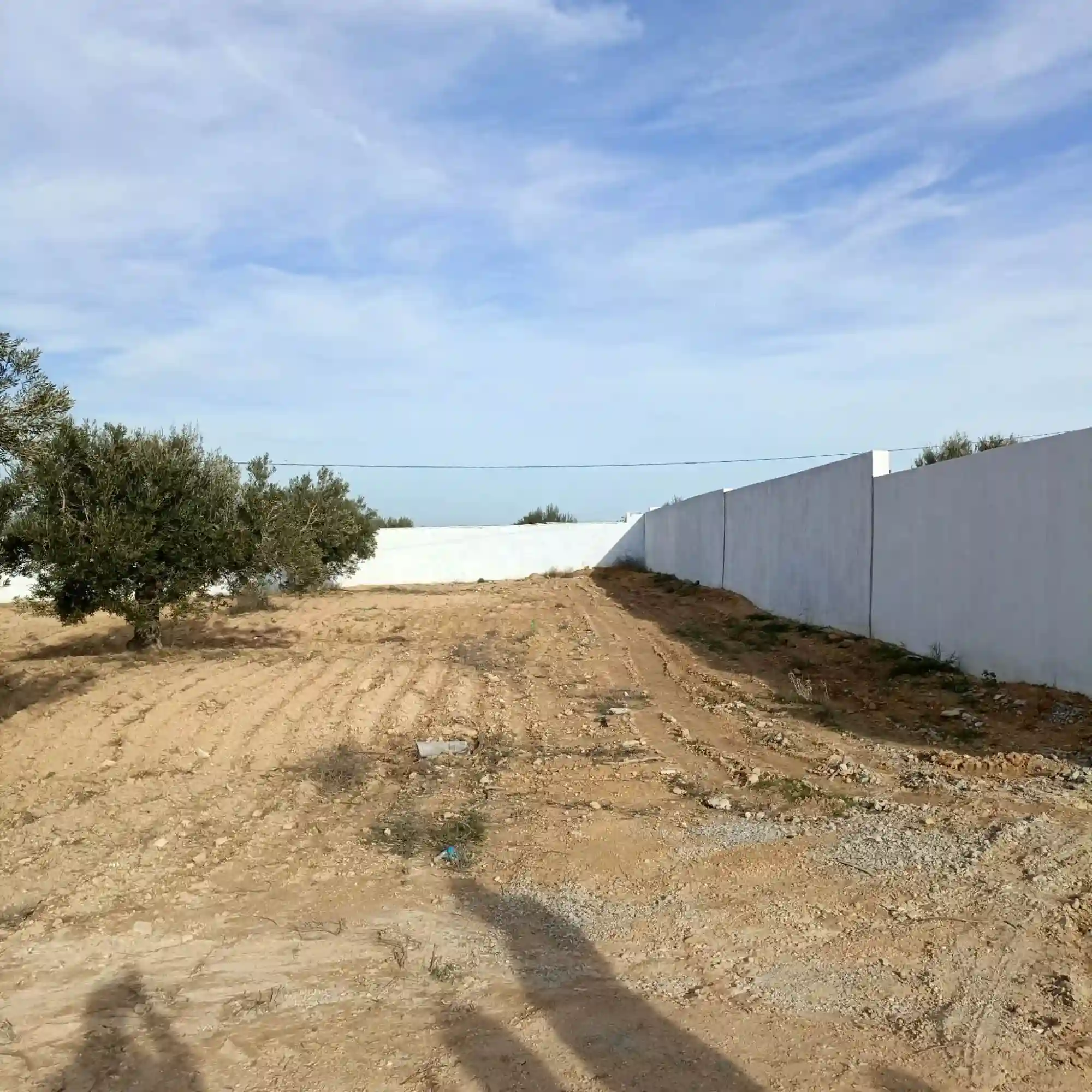 Av Beau Terrain de 600m Proche Hammamet Yasmine - Vue 1