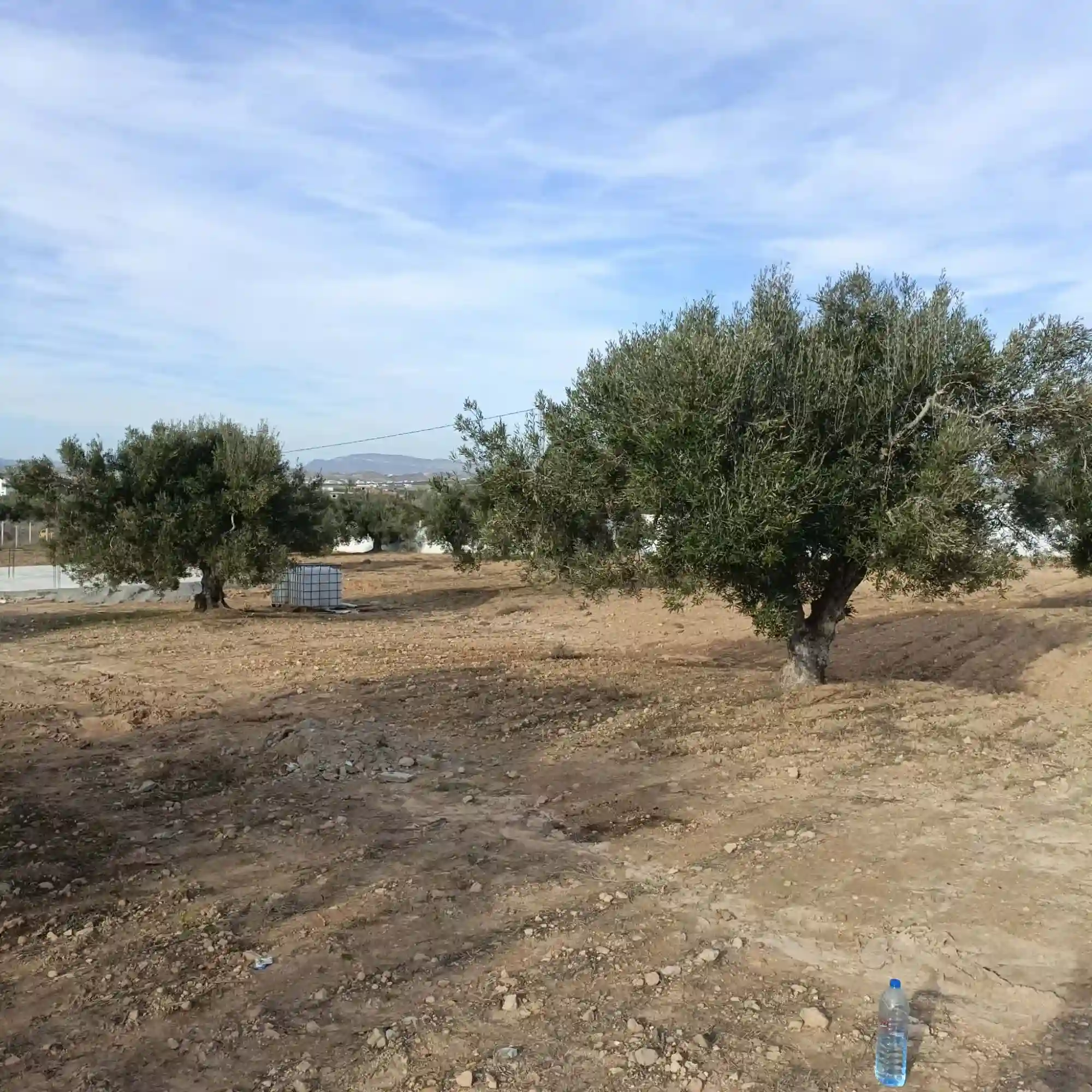 Av Beau Terrain de 600m Proche Hammamet Yasmine - Vue 2