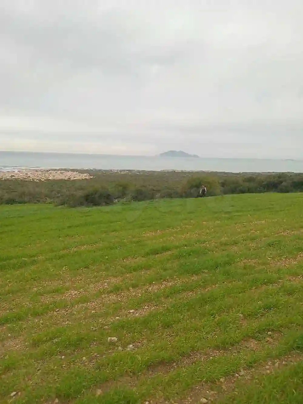 Terrain Hawaria Plage - Vue 4