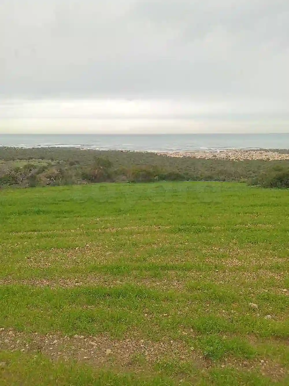 Terrain Hawaria Plage - Vue 5