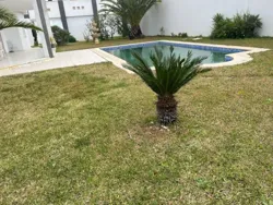 Villa de Luxe a Yasmine Hammamet à Hammamet