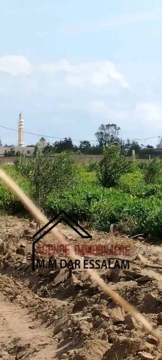 Terrain Agricole à Vendre - Vue 1