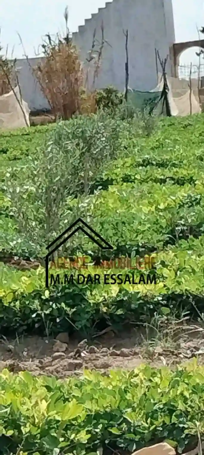 Terrain Agricole à Vendre - Vue 4