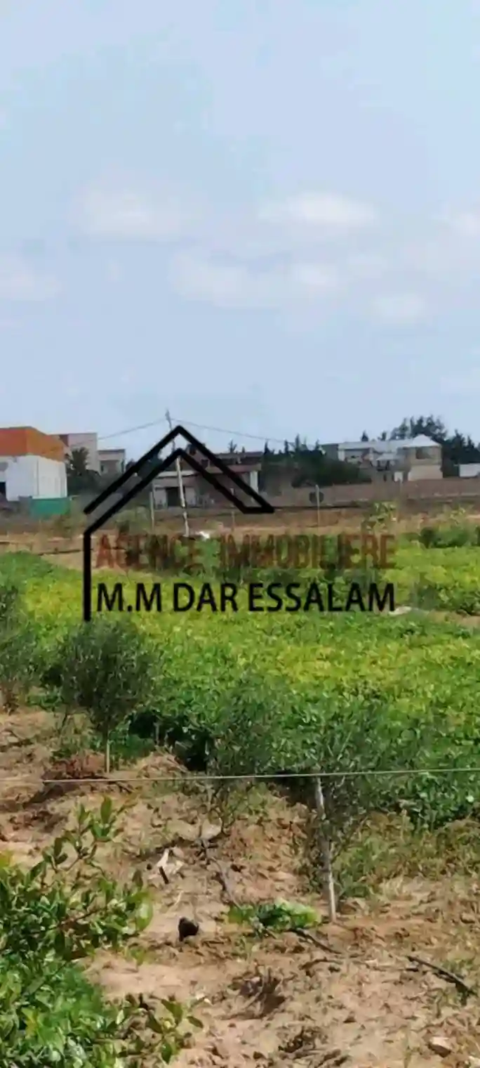 Terrain Agricole à Vendre - Vue 5