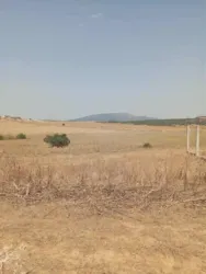 للبيع 7 هكتارات بيضاء زغوان طريق الحمامات