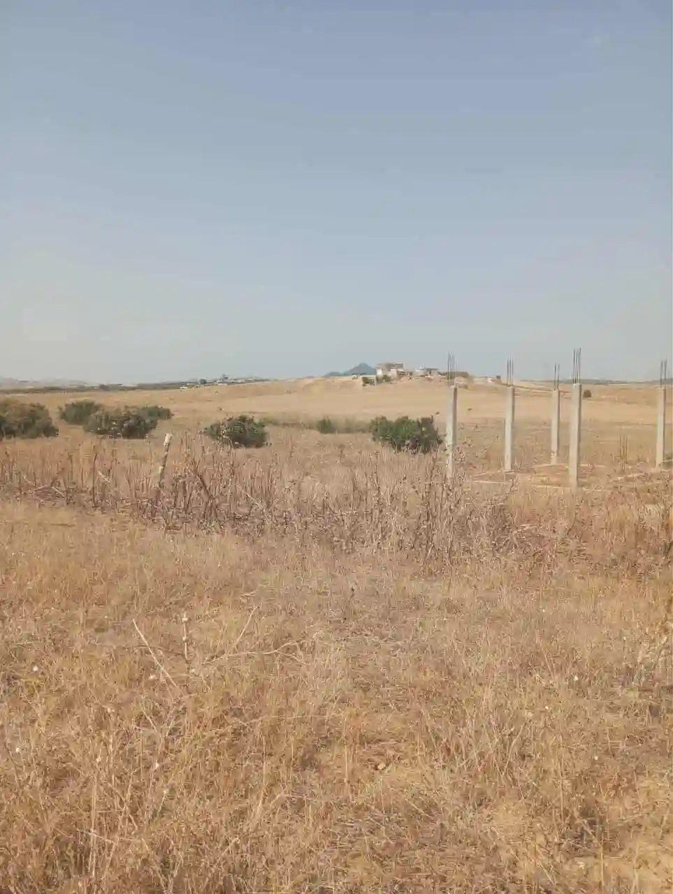 للبيع 7 هكتارات بيضاء زغوان طريق الحمامات - Vue 1