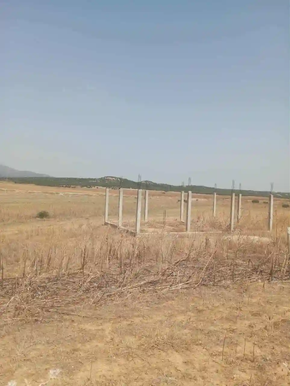 للبيع 7 هكتارات بيضاء زغوان طريق الحمامات - Vue 4