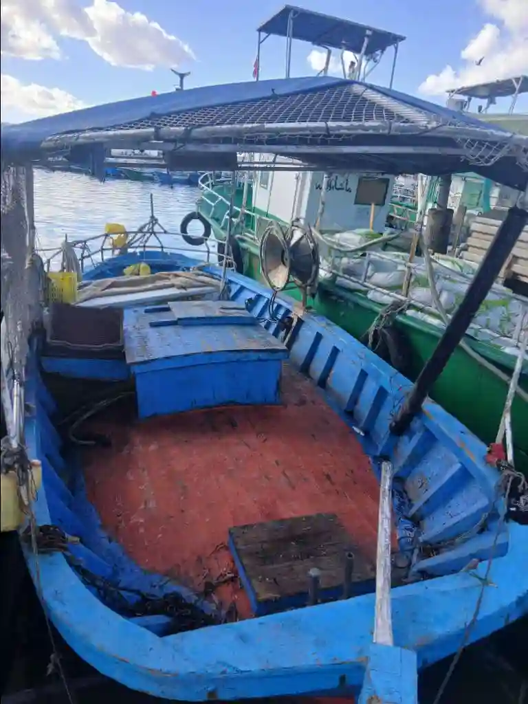 مركب صيد - Vue 2