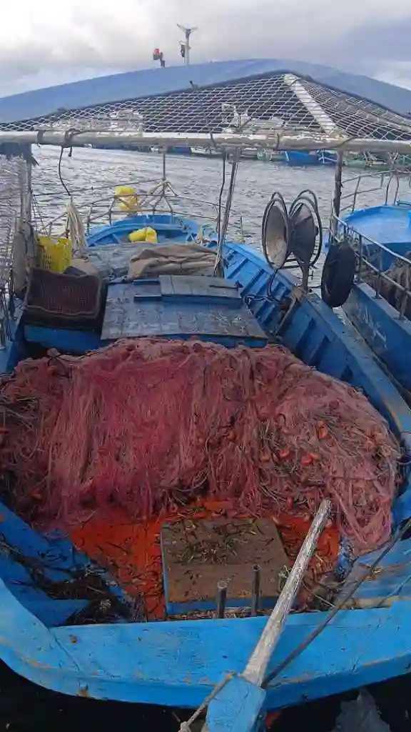 مركب صيد - Vue 3