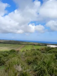 Terrain à Saisir à Nabeul