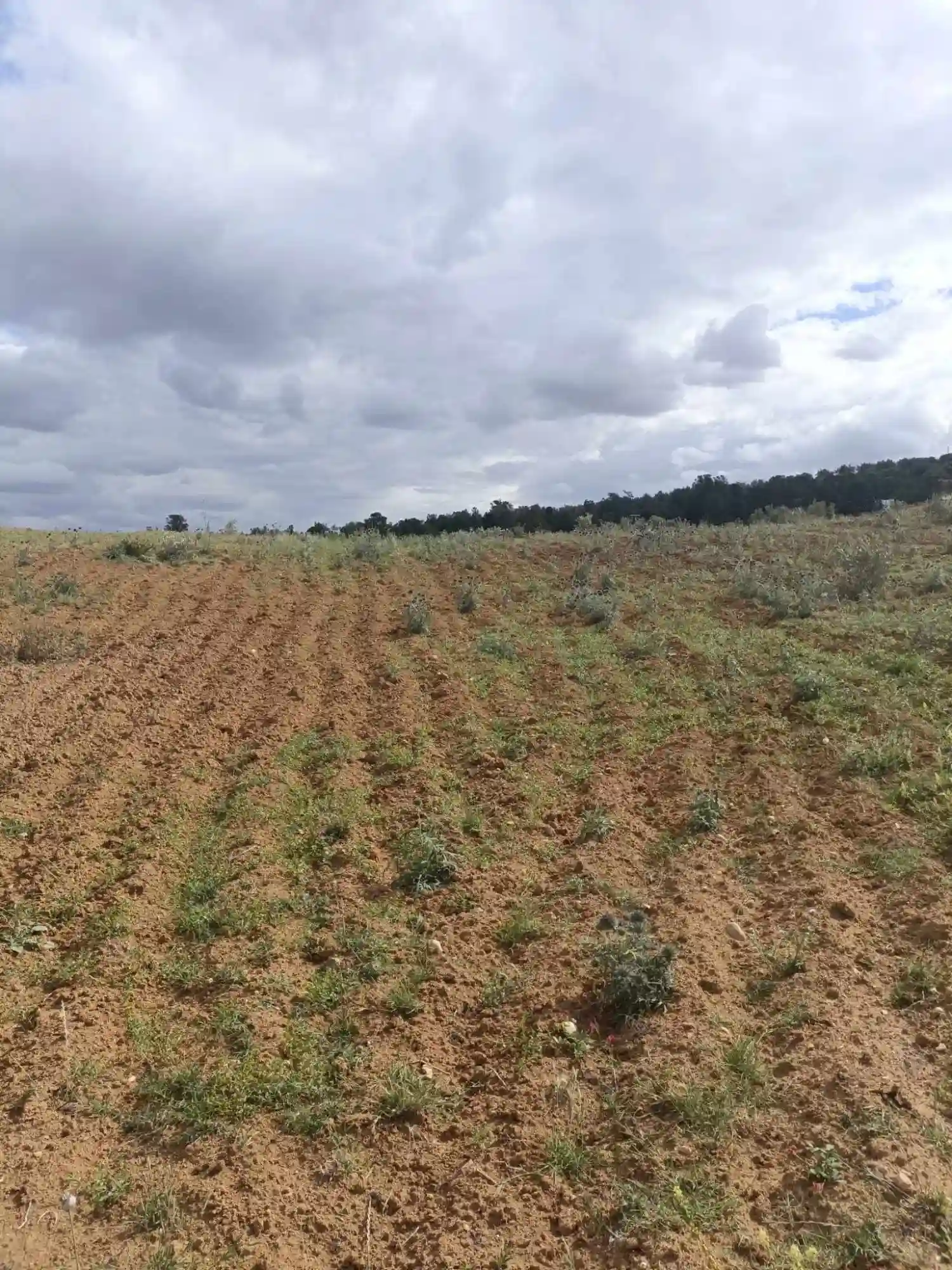 Av 4100m à Zriba Zaghouan - Vue 1