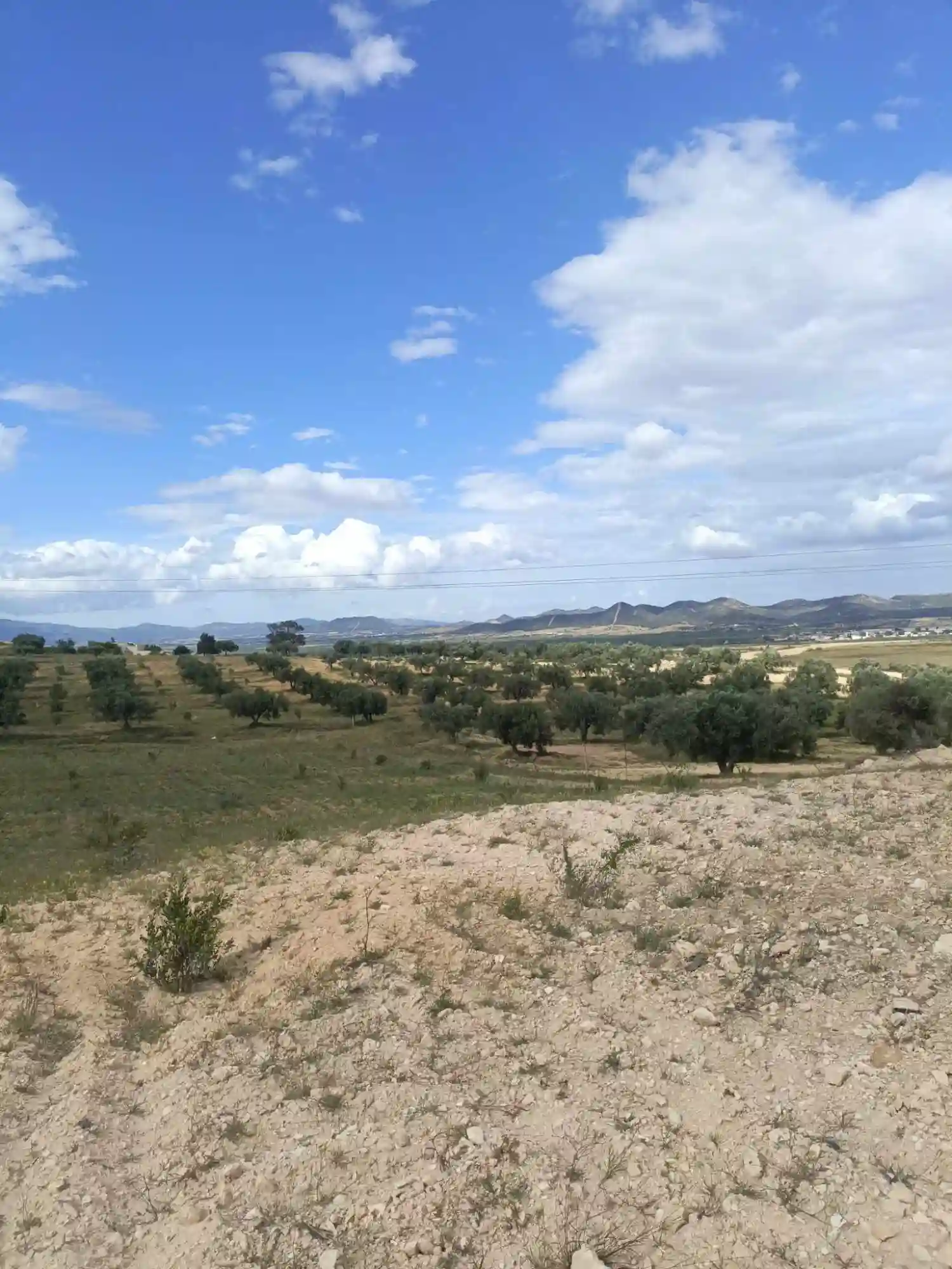 Av 4100m à Zriba Zaghouan - Vue 2