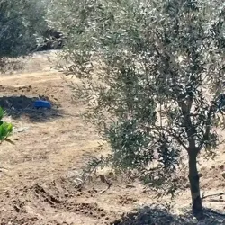 Terrain à Vendre à Kélibia