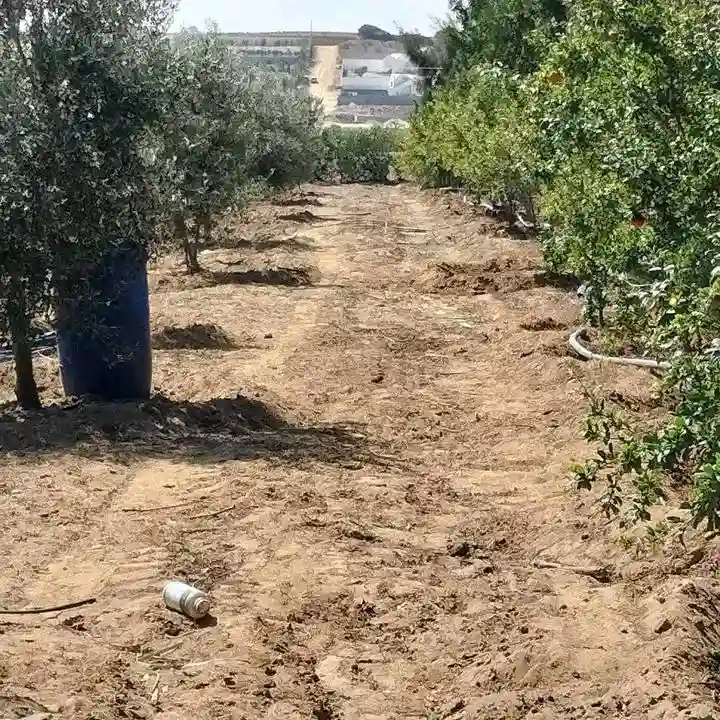 Terrain à Vendre à Kélibia - Vue 2