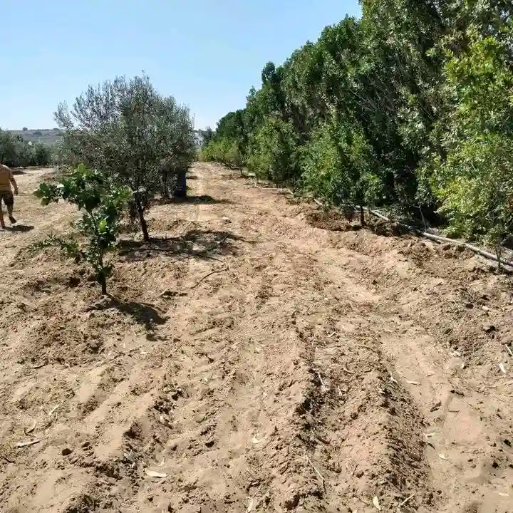 Terrain à Vendre à Kélibia - Vue 4