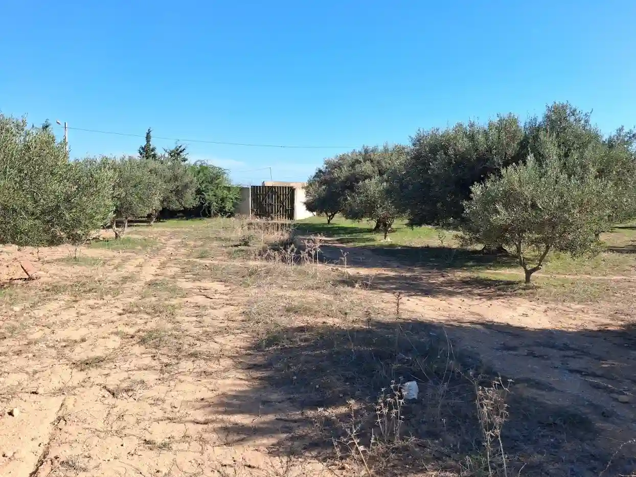 Terrain Constructible à Sidi Khelifa - Vue 1