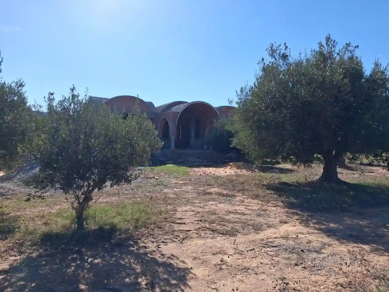 Terrain Constructible à Sidi Khelifa - Vue 4