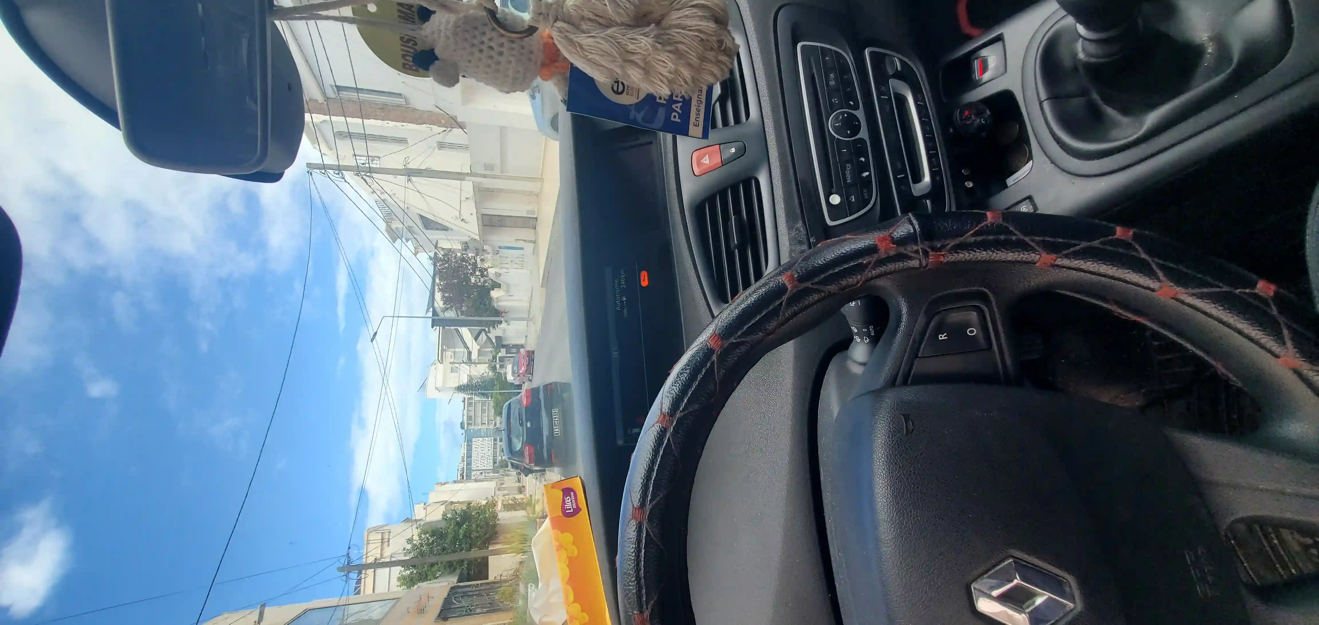 Renault Scenic - Vue 2