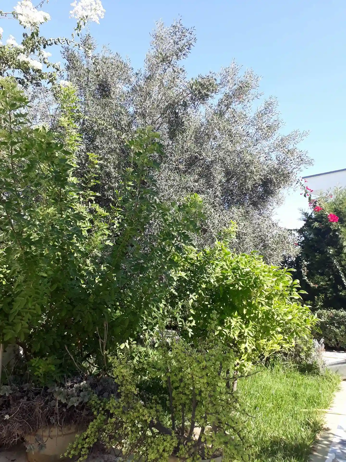 Villa à Rénover à Kantaoui à El Kantaoui - Vue 2