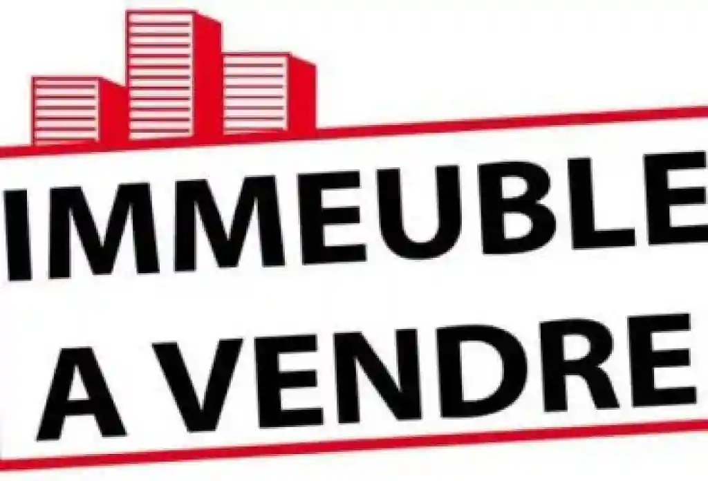 À Vendre Immeuble r+3 Situé à Boumhal Bassatine - Vue 1