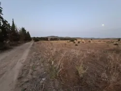 À Vendre Terrain Agricole de 2 Hectares Avec Façade de 100 m su