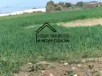 Terrain Agricole Bien Équipée - Vue 2