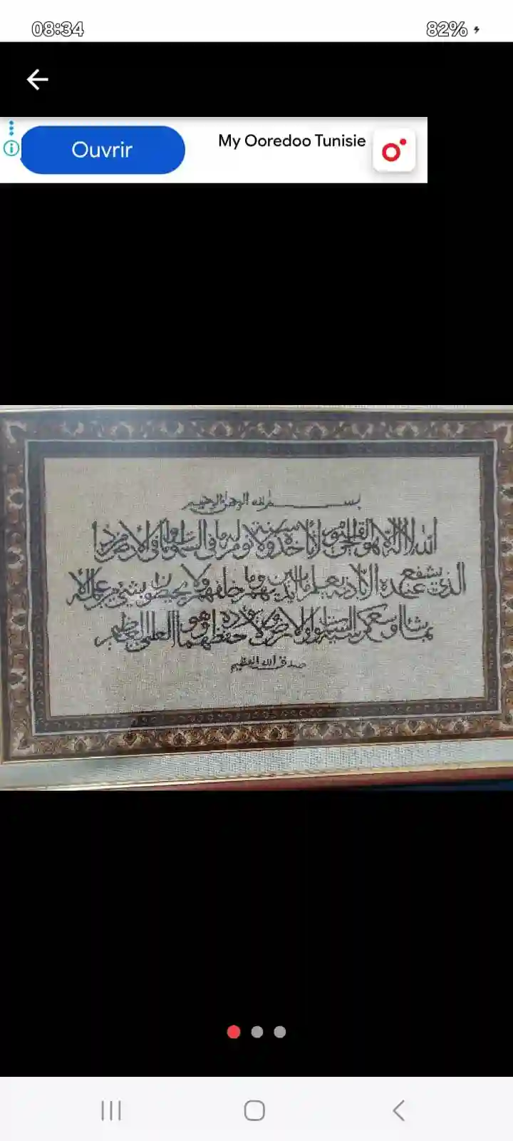 Cause Départ Cadre Avec Tapis Soies à Bou Mhel El Bassatine - Vue 3