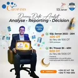 Formation Data Analyst sql bi Power bi à El Menzah