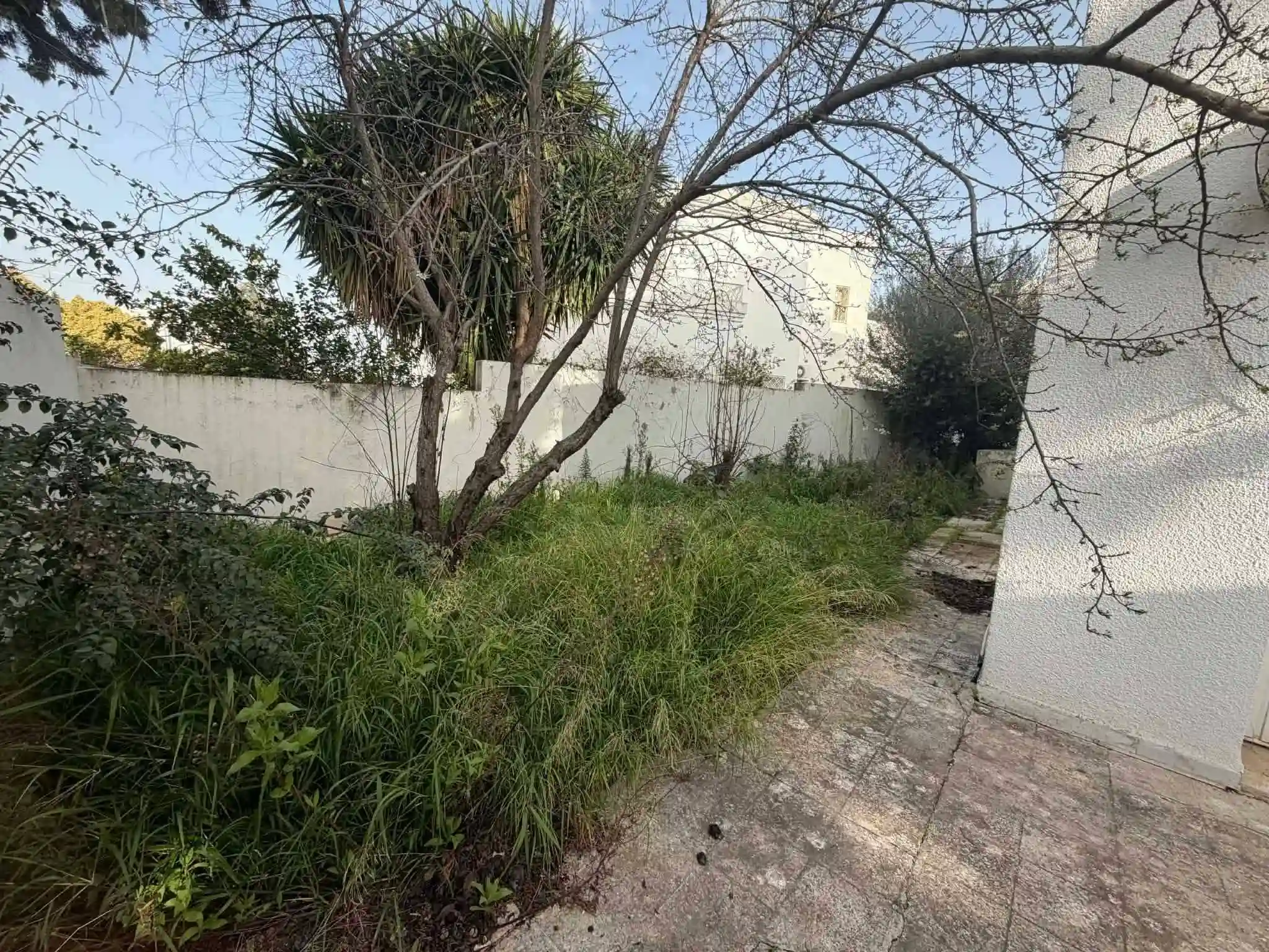 Villa 1220 md Ennasr 2 à Cite Ennasr 2 - Vue 2