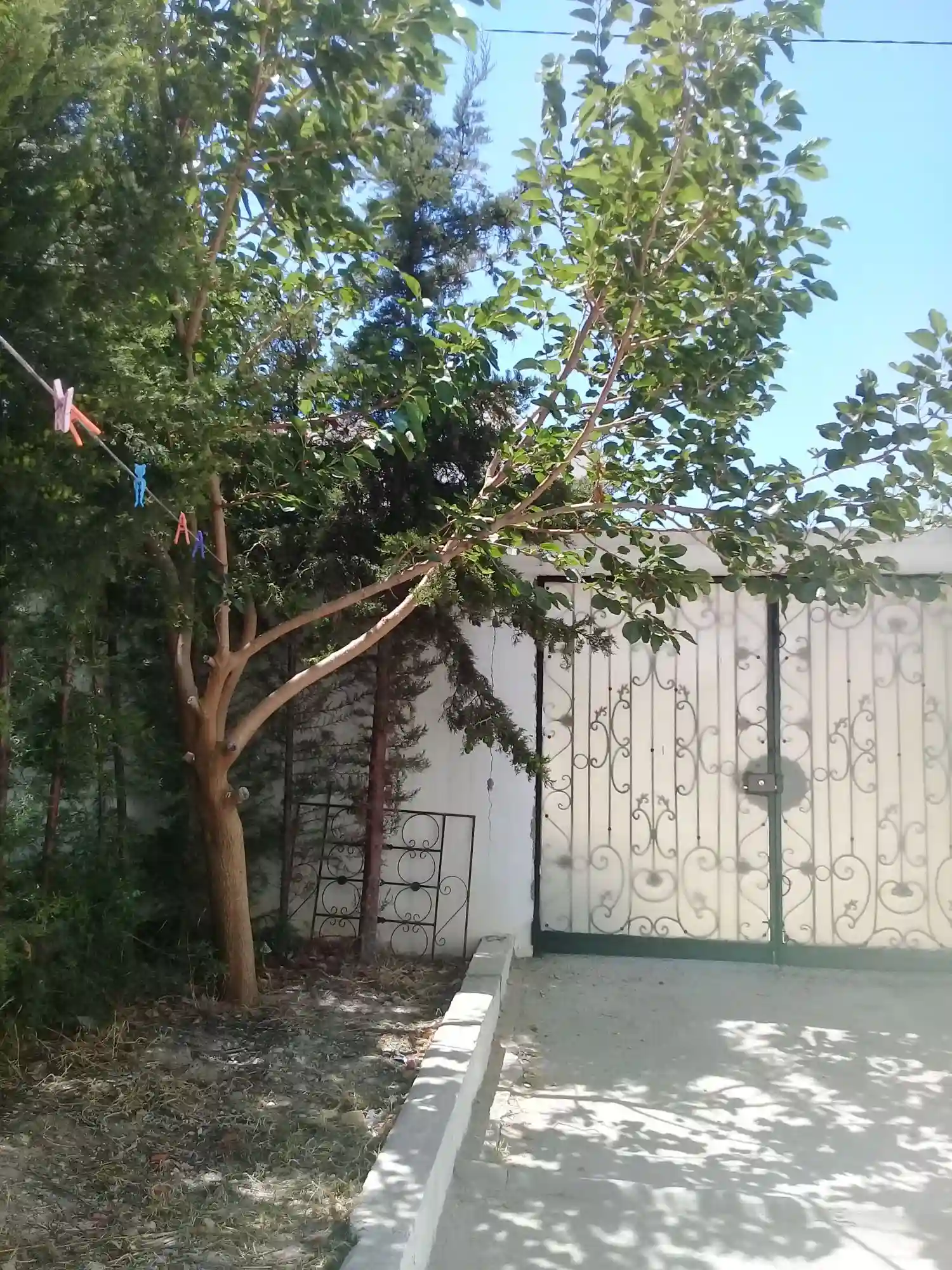 A Louer a la Grotte de Corniche Bizerte - Vue 2