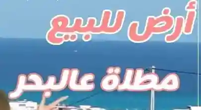 Terrain de 277 m vue sur mer à Kelibia - Vue 2