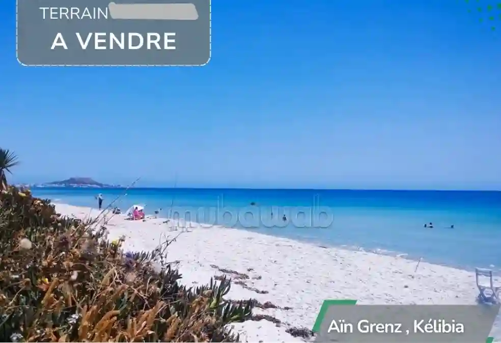 Terrain de 277 m vue sur mer à Kelibia - Vue 4