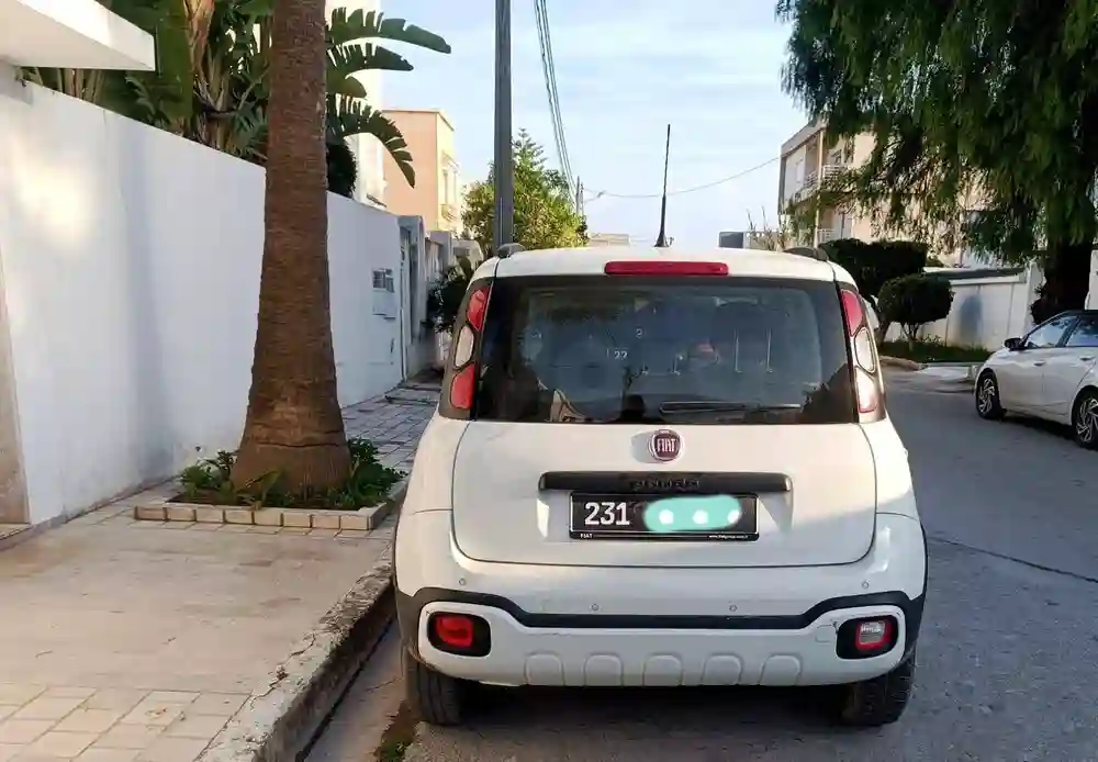 2023 Fiat Panda Cross 1ere Main 4 Cylindres tt Options - Vue 2