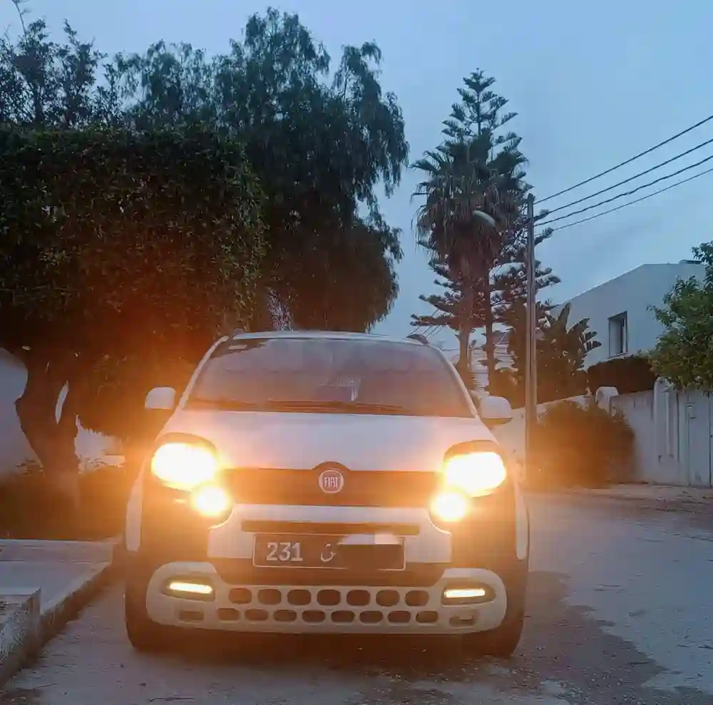 2023 Fiat Panda Cross 1ere Main 4 Cylindres tt Options - Vue 4