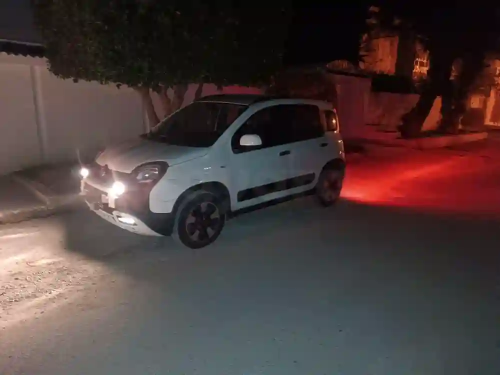 2023 Fiat Panda Cross 1ere Main 4 Cylindres tt Options - Vue 6