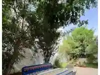 Appartement Papillon Hammamet Nord Av1978 - Vue 5