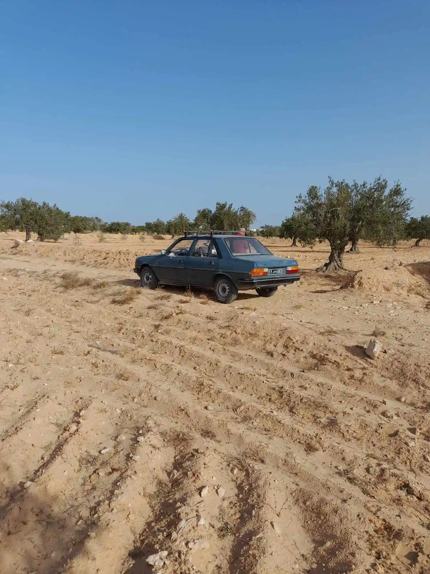 Clientant de Voiture Peugeot 305 Nouveau Modèle à El May - Vue 1