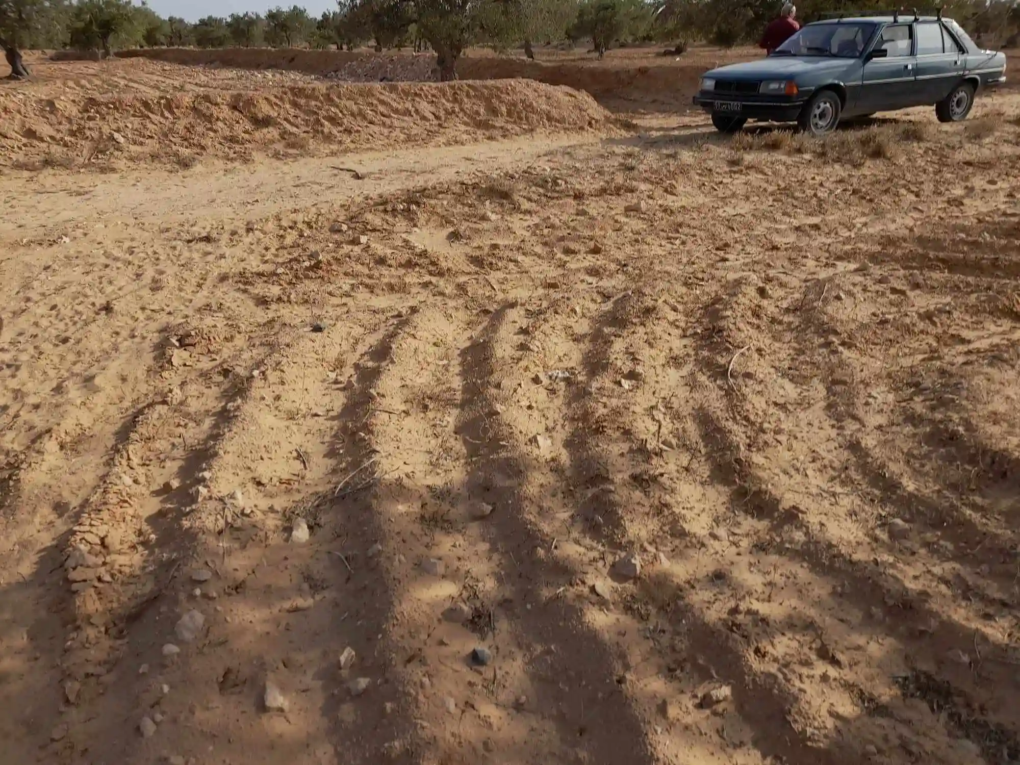 Clientant de Voiture Peugeot 305 Nouveau Modèle à El May - Vue 2